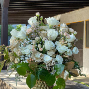 Ivory Elegance